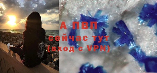 ПСИЛОЦИБИНОВЫЕ ГРИБЫ Верея