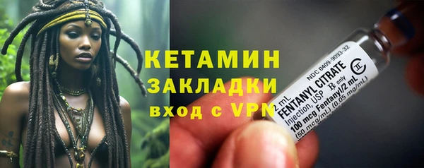 ПСИЛОЦИБИНОВЫЕ ГРИБЫ Верея