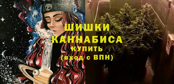 ПСИЛОЦИБИНОВЫЕ ГРИБЫ Верея