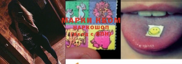 ПСИЛОЦИБИНОВЫЕ ГРИБЫ Верея