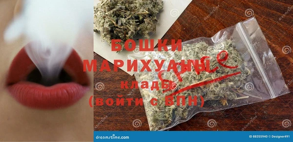 ПСИЛОЦИБИНОВЫЕ ГРИБЫ Верея