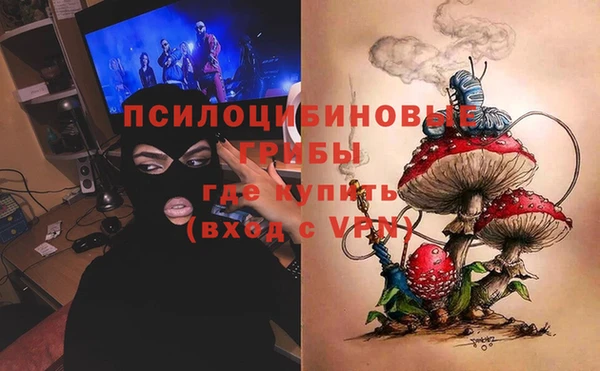 ПСИЛОЦИБИНОВЫЕ ГРИБЫ Верея