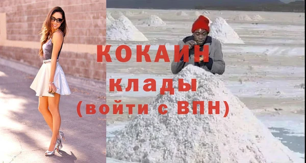 ПСИЛОЦИБИНОВЫЕ ГРИБЫ Верея