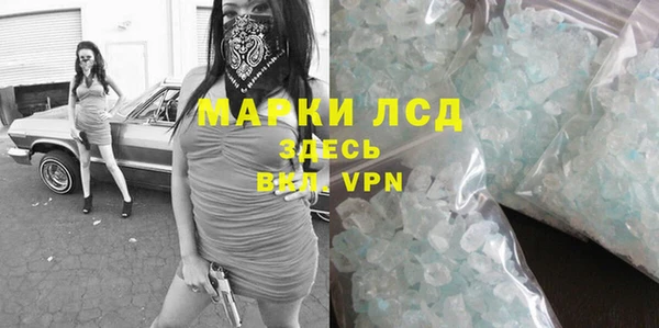 ПСИЛОЦИБИНОВЫЕ ГРИБЫ Верея