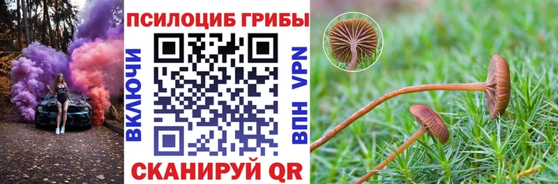 Галлюциногенные грибы MAGIC MUSHROOMS  закладки  Янаул 